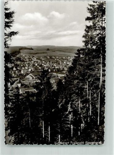 Freienohl