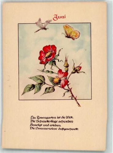 CAWAR Bildkarte Juni Schmetterling Insekt Rose Gedicht