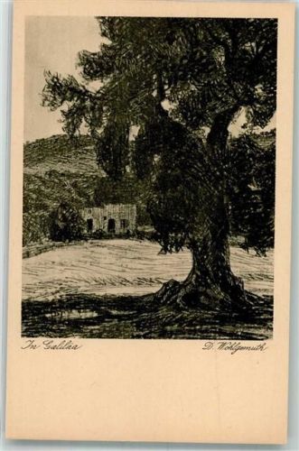 Tiberias sign. wohlgemuth,D. Galiläa