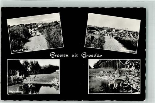 4503 Groede Foto AK Uandweg Hertenkamp