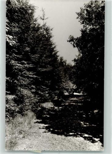 Holzhausen Waldweg