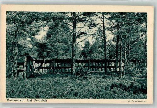Undeloh Foto W. Zimmermann