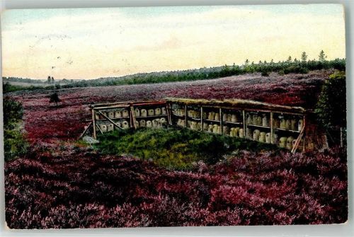1910 Lüneburger Heide