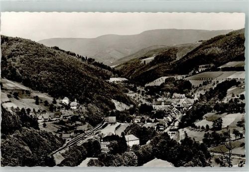 Bad Freyersbach mit dem Kurhaus im Ort Bad Peterstal