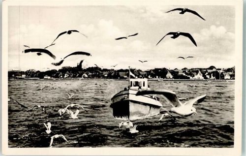 Heiligenhafen Möwen umfliegen einen Fischkutter Verlag Julius Simonsen Notopfermarke