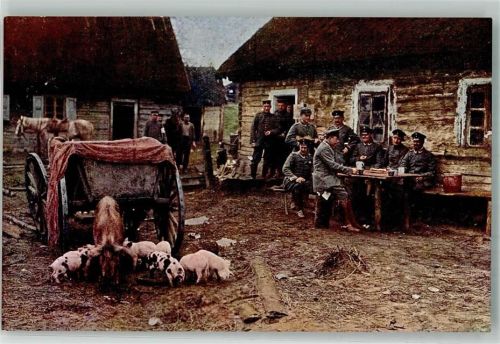 Landser haben sich auf einem polnischen Bauernhof einquartiert Schwein Uniform Fotograf Benninghoven