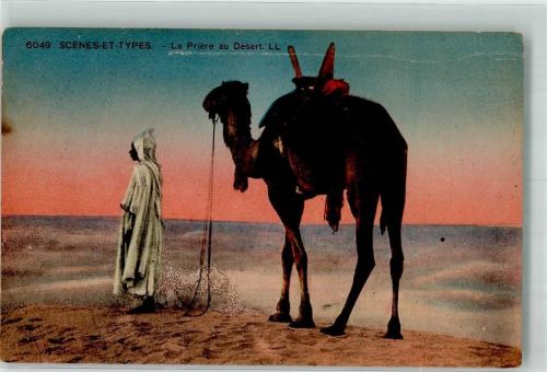 Nr. 6049 Scenes et Types - La Priere au Desert Kamel Verlag Levy et Neurdein Paris