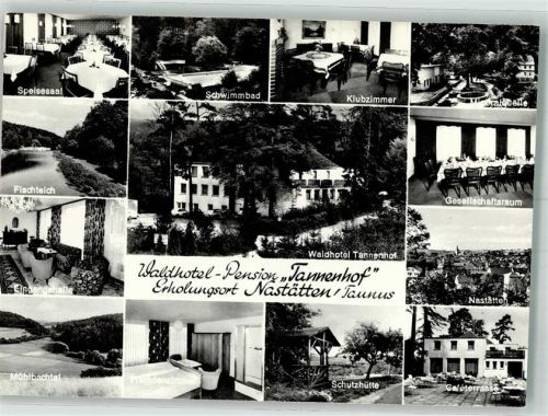Nastätten Waldhotel Tannenhof mit Fischteich Schwimmbad Mühlbachtal Mineralquelle