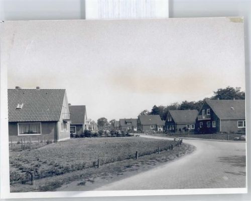 Platjenwerbe Fotoabzug Teilansicht Platjenwerbe
