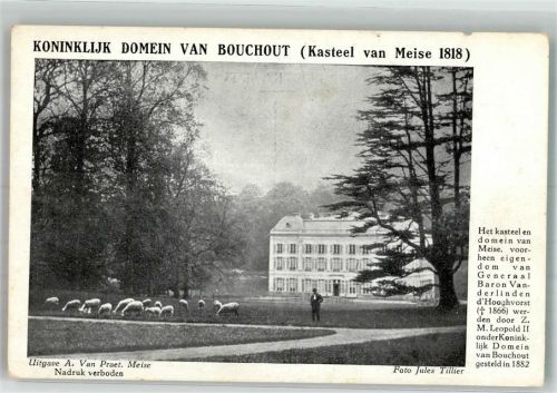 Loewen Foto AK Schloss Château de Bouchout Meise Foto Tillier, Jules
