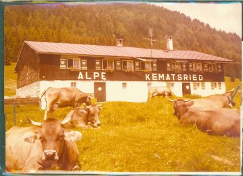 Bad Hindelang Gasthaus Alpe Photomontage vom Verlag mit Heftklammern Ort handschriftlich Foto Original aus Archiv eines Ansichtskartenverlags