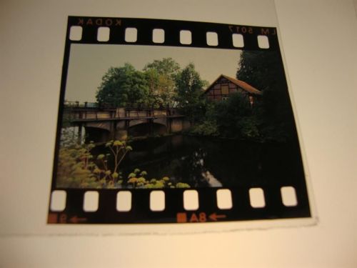 Steyerberg Dia