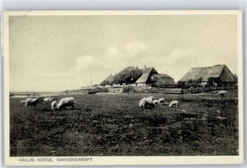Hooge Bakkenswerft