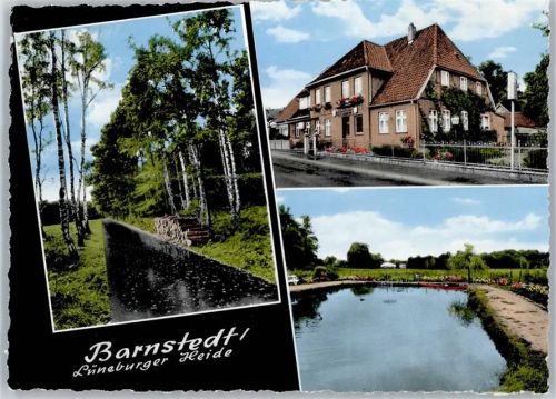 Barnstedt Dorfteich