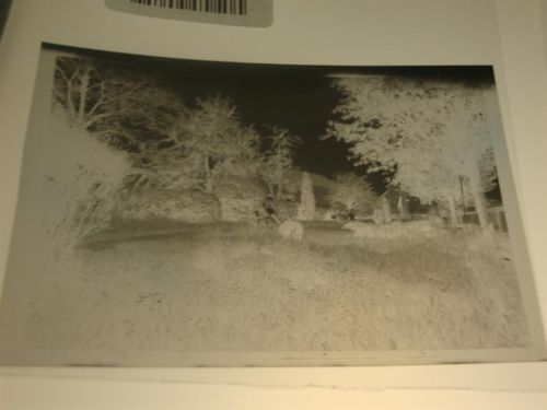 Appenfeld Negativ