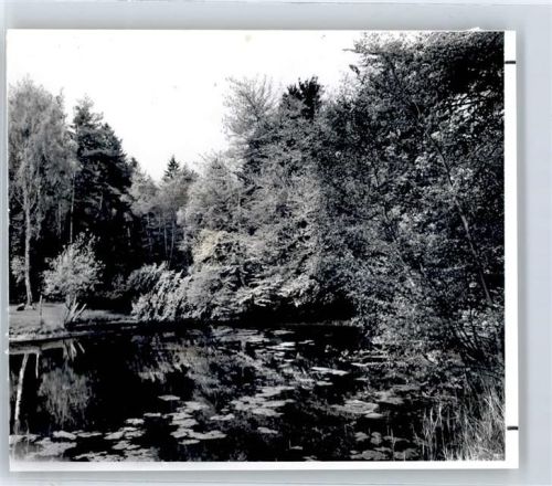 Tosterglope Teichpartie, Fotoabzug