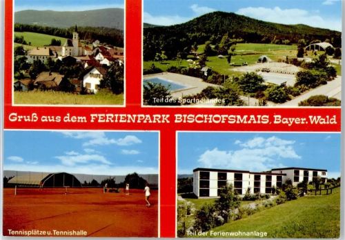 94253 W8379 Bischofsmais - Tennishalle , Sportplatz