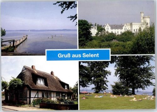 24238 W2319 Selent , Holst