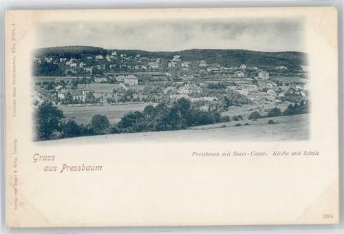 Pressbaum Sacre- Coeur, Kirche, Schule, Ortsansicht