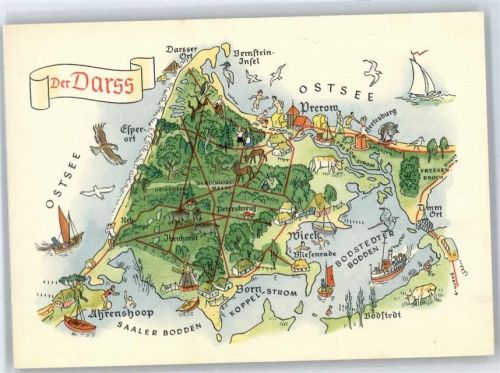 18375 O2382 Born , Darß Künstlerkarte Landkarte