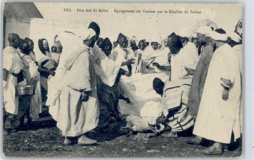 Fes Fez - Fest zu Ehren des Sultans