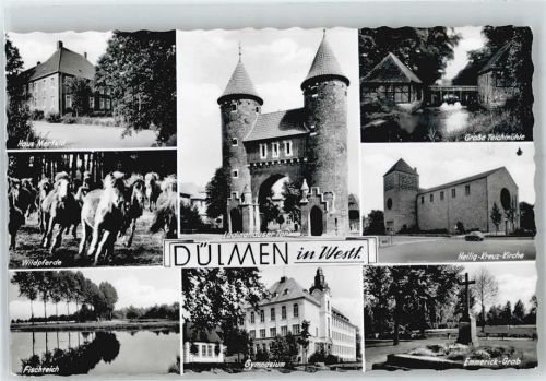 Dülmen Teilansihten, Wildpferde, Teichmühle, Kirchen Gymnasiulm