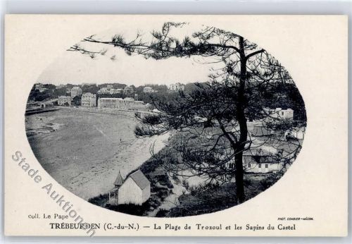 22560 Trebeurden - La Plage de Trozoul et les Sapins du Castel