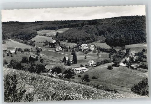 Falken-Gesäß Blick auf Falkengesäß