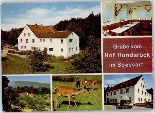 Eschau Gasthaus Pension Hundsrück Rehe