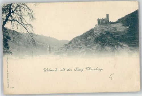 Wellmich Burg Thurnberg