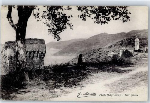 Pino Tour genoise