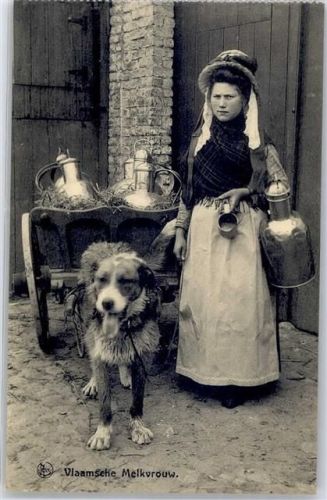 Belgien Frau Hundekarren
