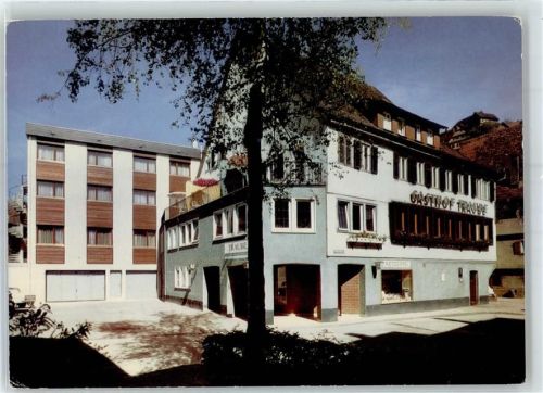 72213 W7272 Altensteig , Württ - Gasthaus Pension Zur Traube