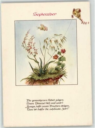September Drachen Schmetterling Poesie