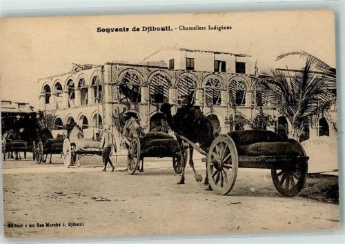 Dschibuti - Chameliers Indigenes Kamel