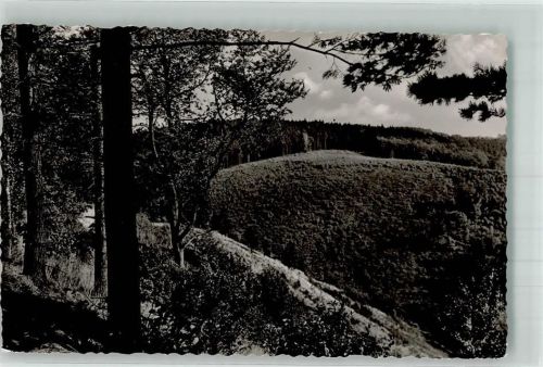 Schwelm Waldpartie