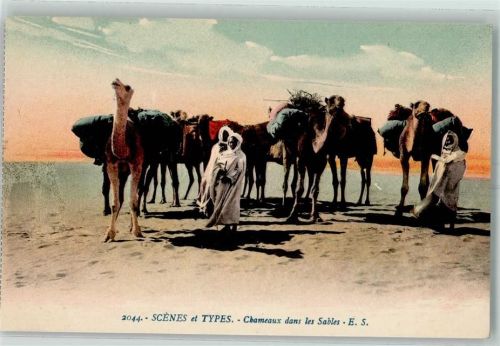 Scenes et Types Chameaux dans les Sables Kamele Wüste
