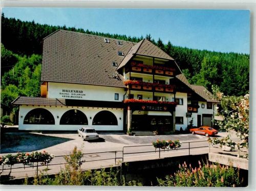 Berneck Hotel Gasthaus Traube Auto