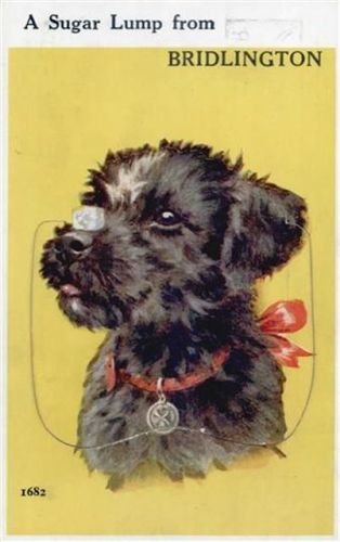 Bridlington Bridlington (Großbritannien) Leporello Würfelzucker, Hund I-II