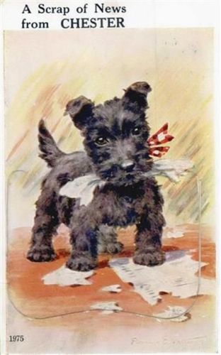 Chester Chester (Großbritannien) Leporello Hund, signiert Florence E. Valter II (Mittelbug, Abschürfung Ecke VS)