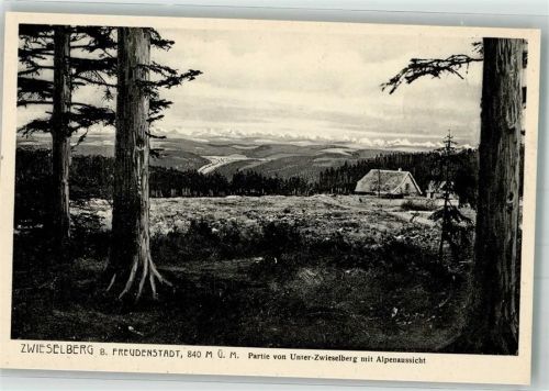 Zwieselberg Hotel Pension Hirschen-Post mit Alpenpanorama