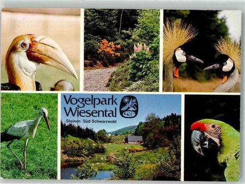 Steinen Vogelpark Wiesental Storch Papagei Reiher