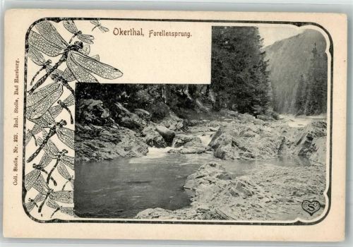 Oker Forellensprung im Okertal Libellen Hotel Gasthaus Romkerhalle