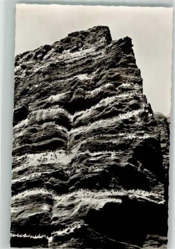 Helgoland Der Lummenfelsen Fotograf Schensky