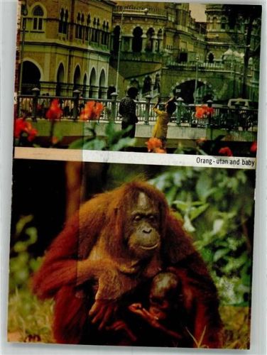 Port Moresby 1978 Ort handschriftlich Orang-utan Straße