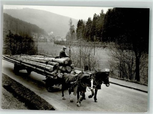 Bad Wildbad Pferdefuhrwerk mit geschlagenen Baumstämmen Fotograf Kallfass Ort handschriftlich