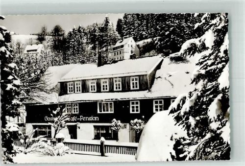 Willingen Winter Gasthaus Cafe Pension Sauerländer Hof