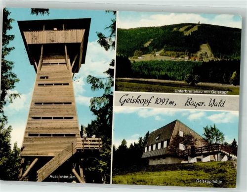 Bischofsmais 1972 Aussichtsturm Gasthaus Geiskopfhütte