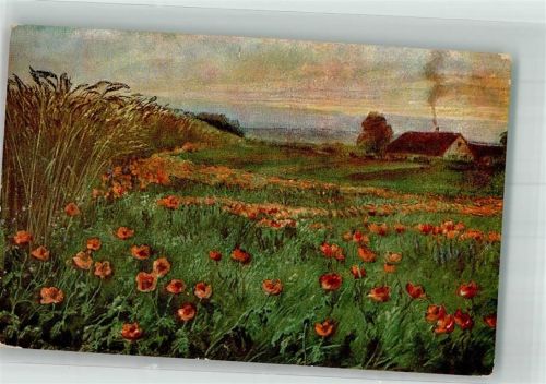 1914 Mohnblumenwiese neben einem Kornfeld Maschinenstempel