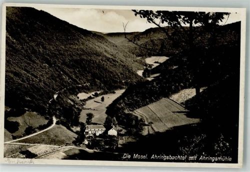 Ahringsmühle Ahringsbachtal